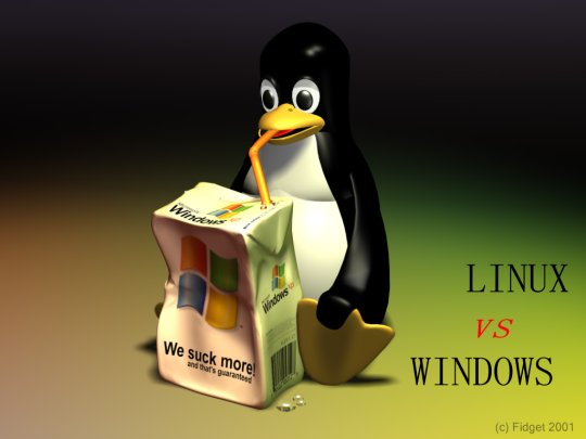 Linux vs Windows2