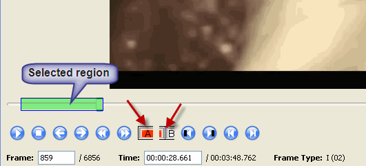 avidemux-selected-region