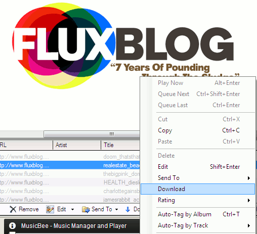 Download audio songs from websites