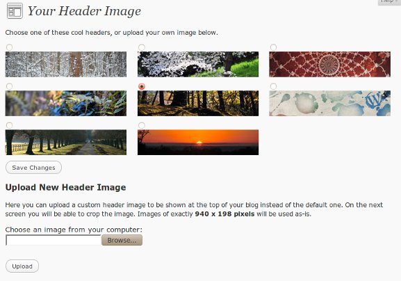 wp3-theme-header