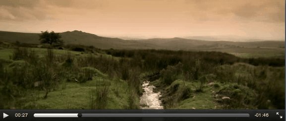 Sublime video in Firefox