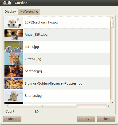 cortina-display-option cortina-display-option