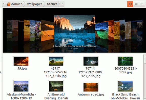 nautilus-elementary-clutterflow