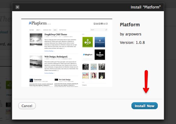 Platform 01b Install Platform.jpg