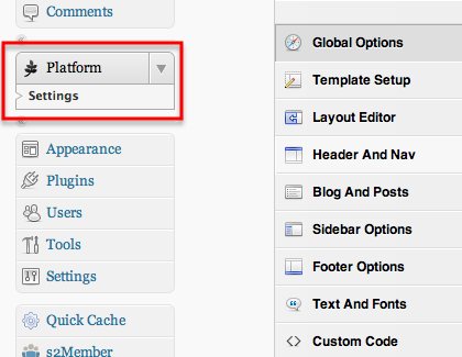 Platform 02a Platform Settings.jpg