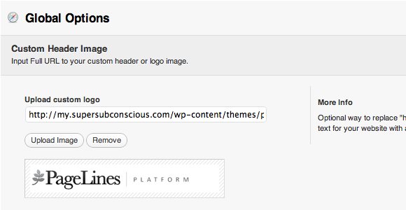 Platform 02b Global Options.jpg