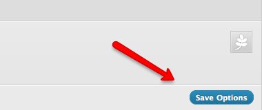 Platform 05a Save Options.jpg