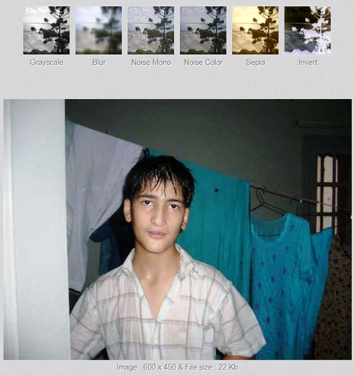 Imageoid-5 Imageoid-5