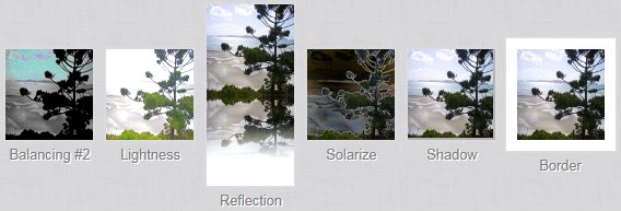 Imageoid-8 Imageoid-8