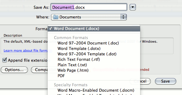 word-file-format-options