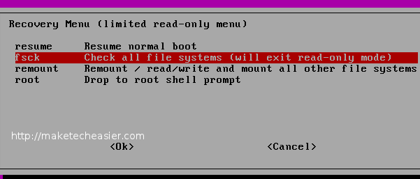ubuntu-select-fsck
