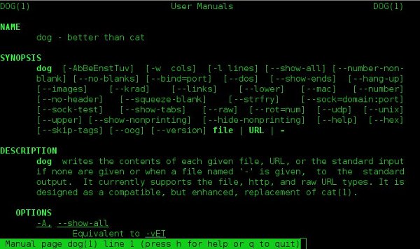 10_more_funny_commands-dog