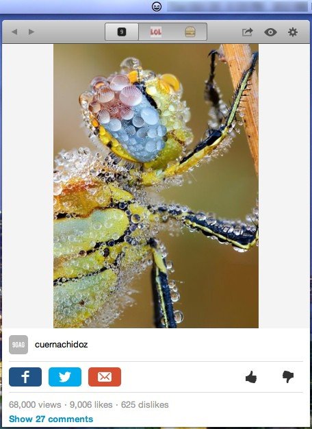 Instafun full view of interface.