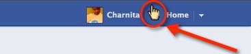 Click on the hand icon at the corner of Facebook for FB Cursor options.