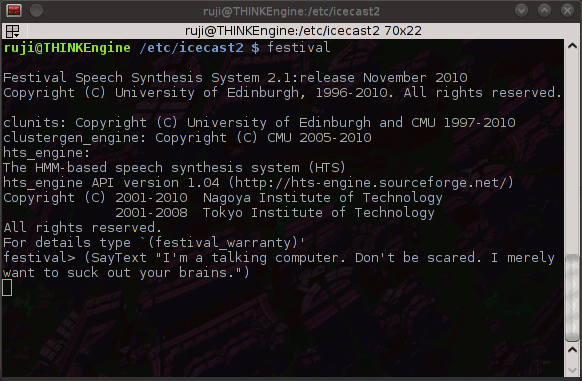 festival-01 festival - make it talk