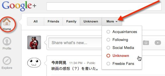 Select the Google+ Circle that you want to mute from the More menu.