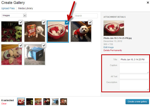 Add a title, caption, alt text and description to your images.