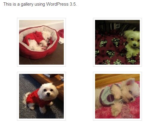 Image gallery using WordPress 3.5 final result.