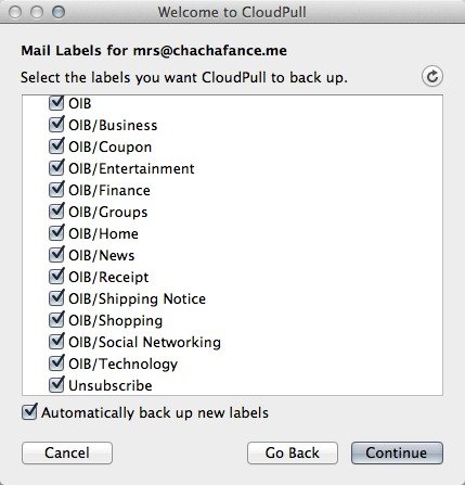 Choose the labels to backup in your Gmail or Google Apps account.