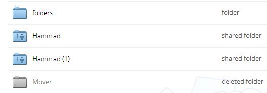 Dropbox DeletedFolder