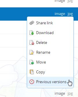 Dropbox Previous Version