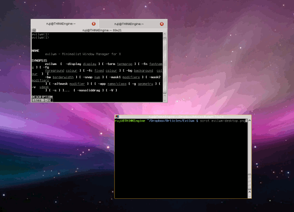 evilwm-desktop-cropped