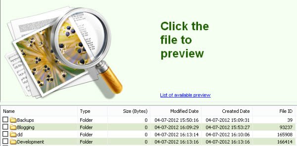 stellar-file-preview
