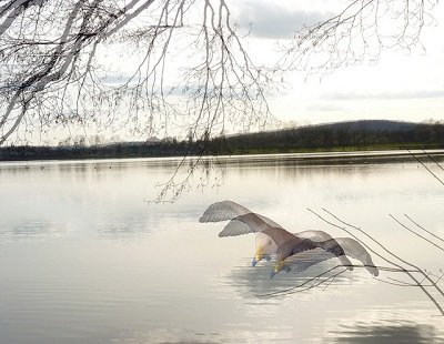 3dmonitors-interleave