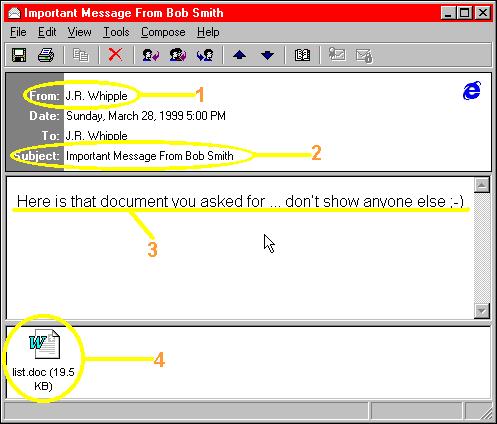 nonexeviruses-melissa