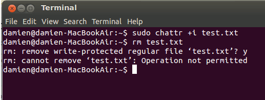 chattr-example lock up files