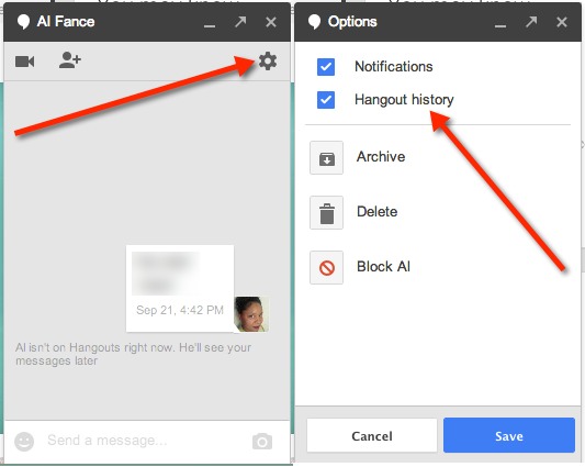 Click on the gear icon to bring up chat options.