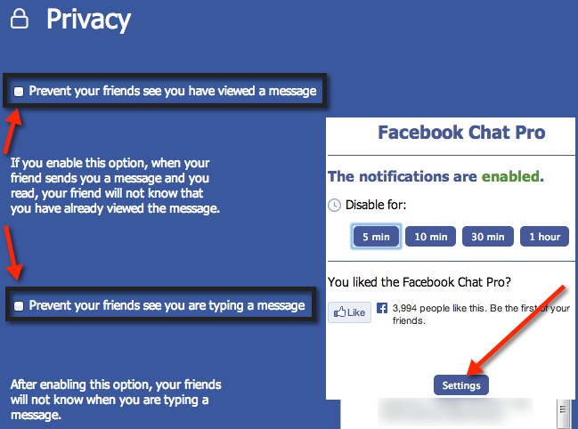 Facebook Chat Pro privacy settings. Facebook Chat Pro privacy settings.