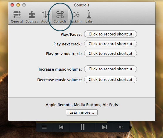 Vox-Media-Player-Controls