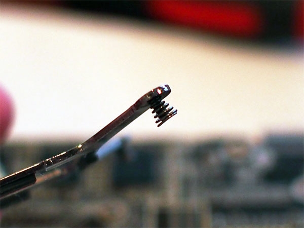 RevitalizeGraphicsCard--Spring