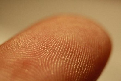 fingerprintscanner-severed fingerprintscanner-severed