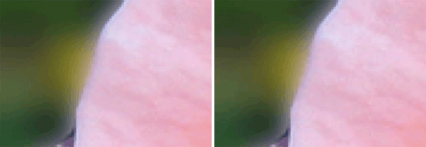 imagecompression-lossless