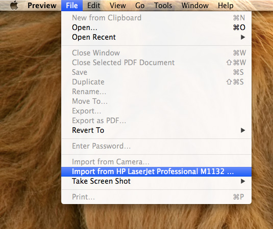 The Printer Import option.