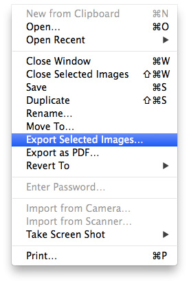 Convert-Images-Preview-Export-Selected-Images