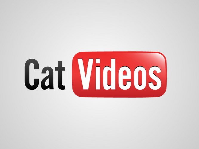 HonestSlogans-YouTube-cat-videos