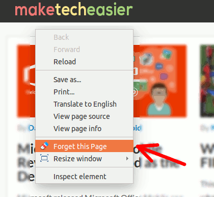 history-eraser-forget-this-page-options