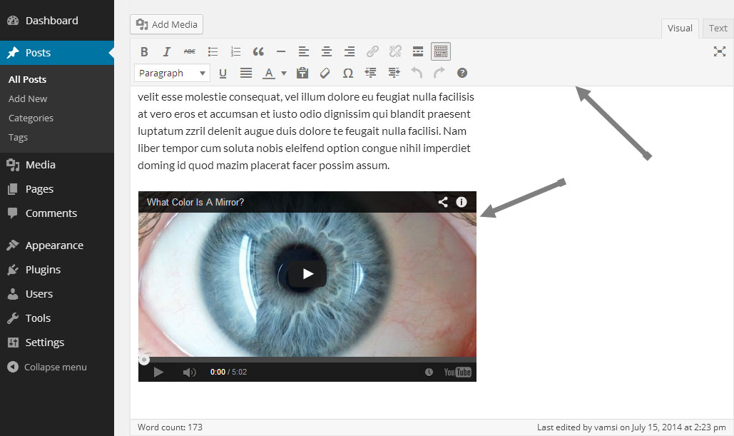 wordpress-4-0-beta-post-editor-features wordpress-4-0-beta-post-editor-features