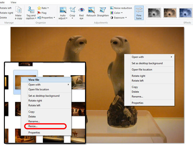 WindowsLivePhotoGallery-resize