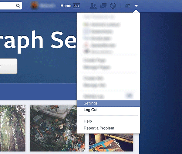 graphsearch-settings