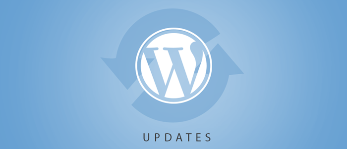 wordpress-mistakes-wordpress-updates