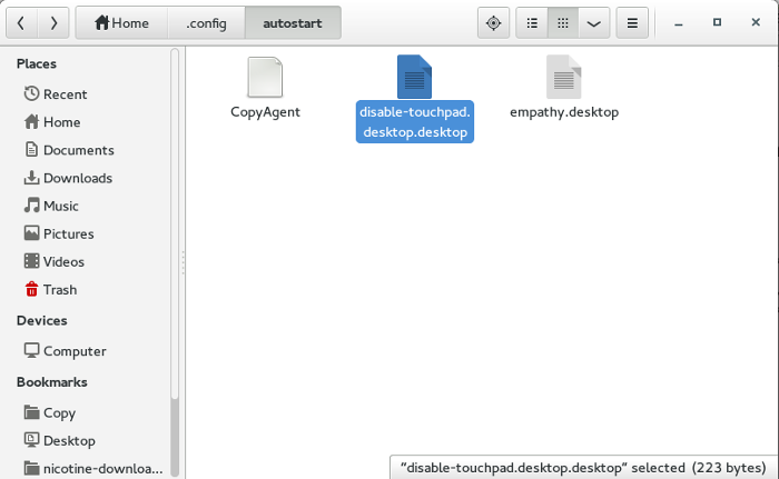 how-to-disable-touchpad-automatically-desktop-file-in-autostart-folder