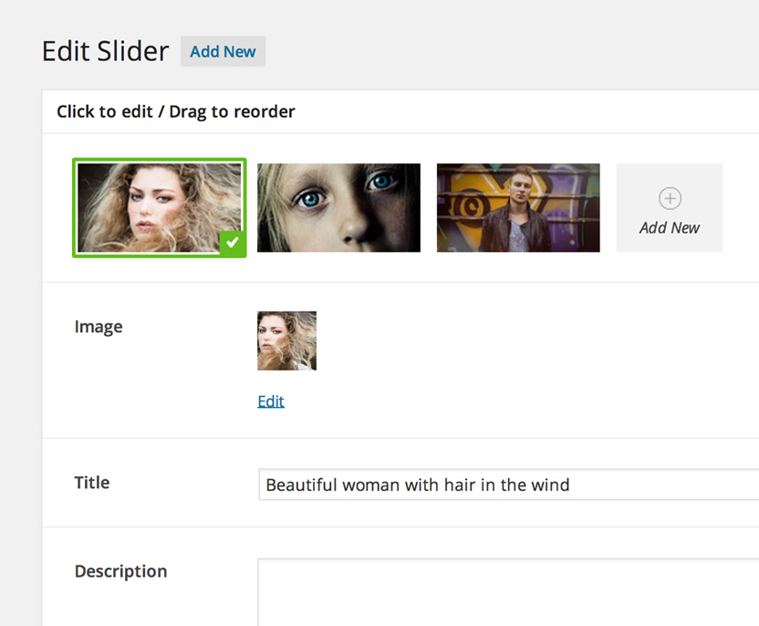 unyson-framework-sliders unyson-framework-sliders
