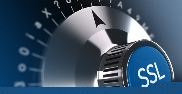 poodlebug-ssllock poodlebug-ssllock