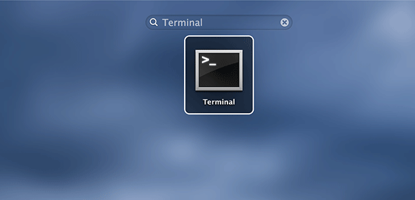 linespaceterminal-launch