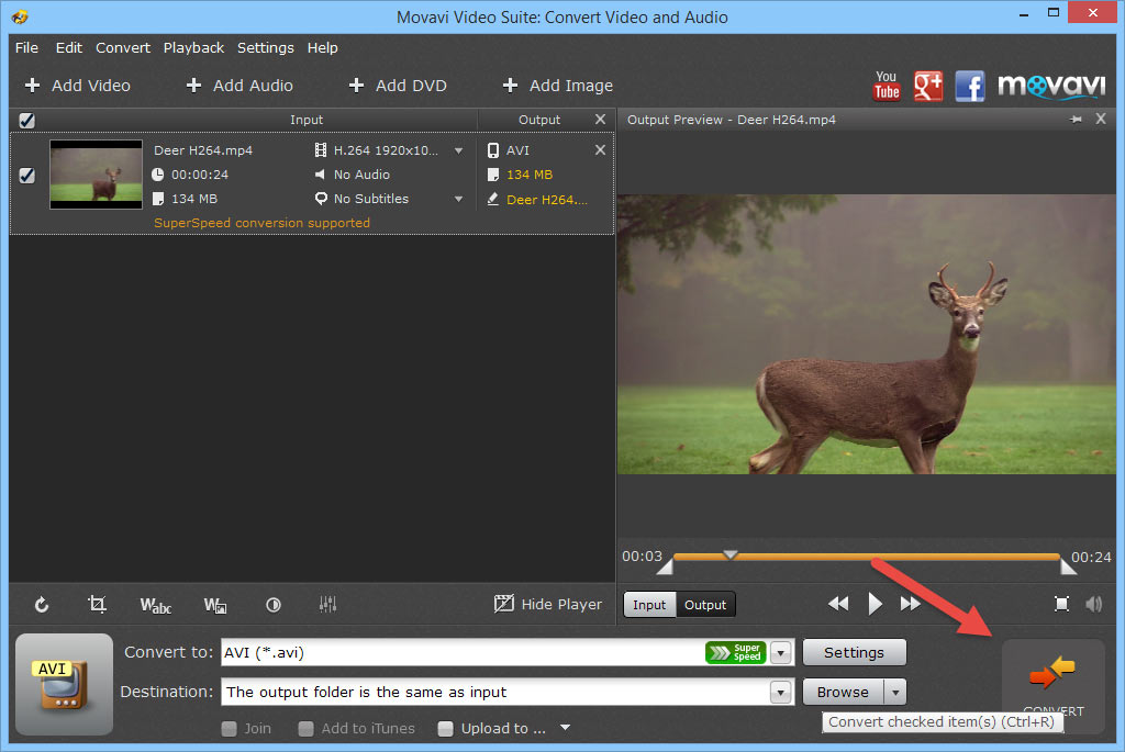 movavi-convert-button movavi-convert-button