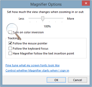Windows Magnifier options. Windows Magnifier options.